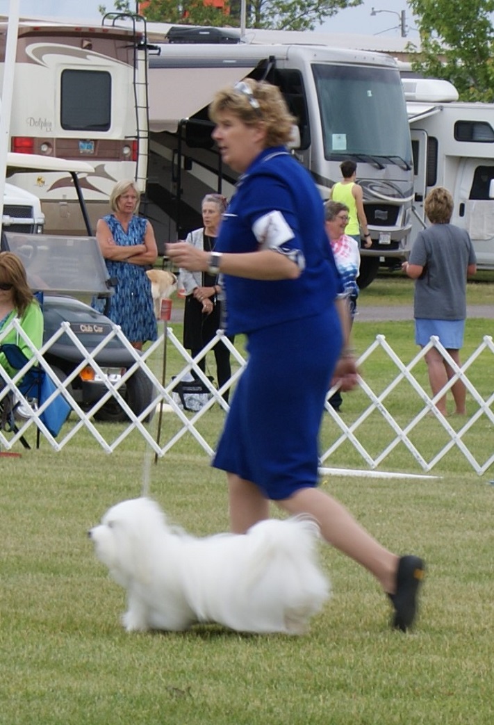 DSC08732