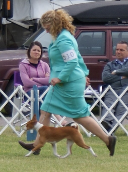 DSC08769
