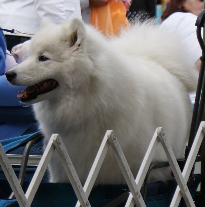DSC08801
