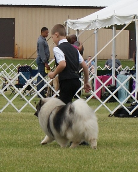 DSC08810