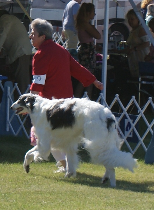 DSC08974
