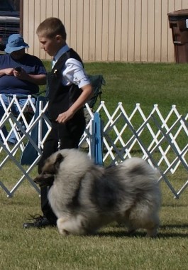 DSC08999