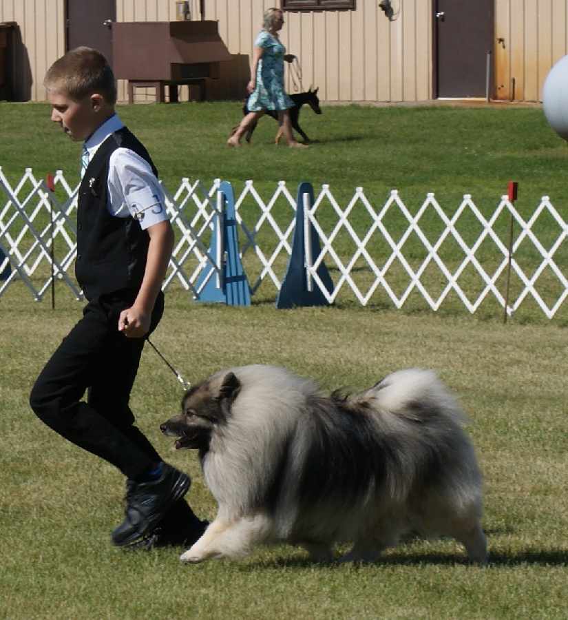 DSC09005