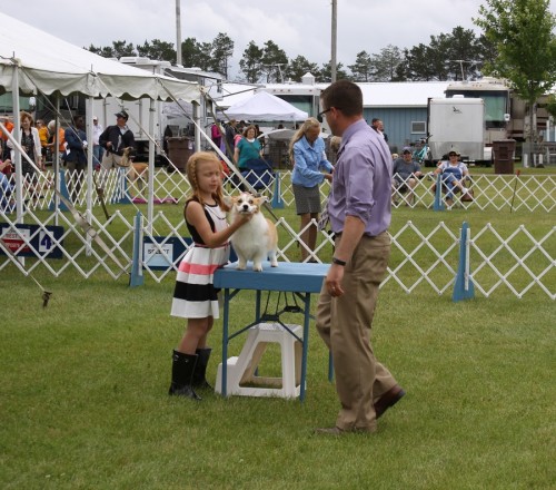 Juniors in the Ring