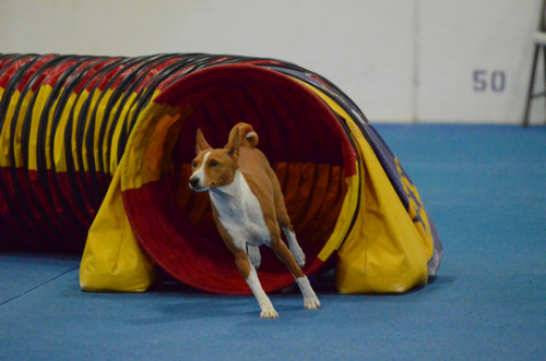 Gossip Tunnel