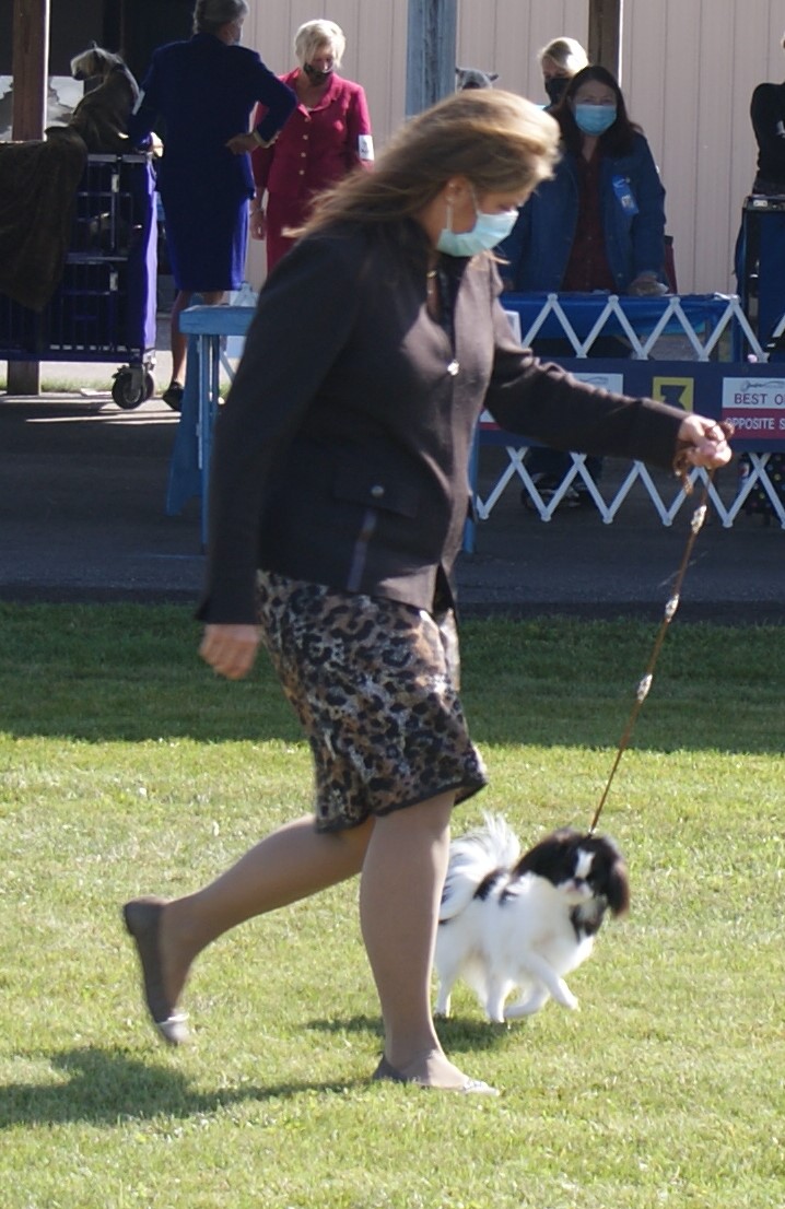 DSC09313