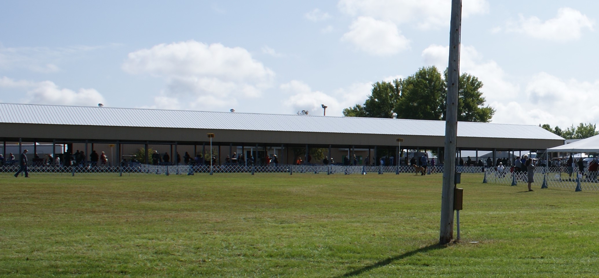 DSC09390